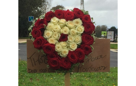 Une pensée pour Thomas